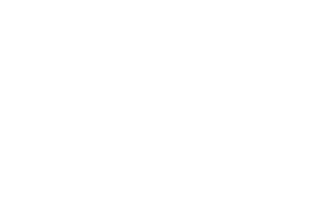 chris and sons logo